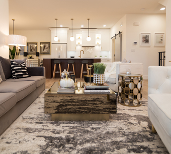 Info-for-Realtors NewRock Homes Showhome Livingroom