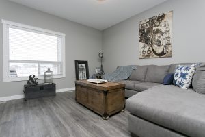 Meadowview Point Living Room 3